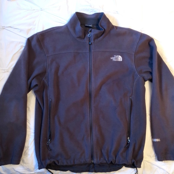 The North Face Other - The North Face Windwall Grey Fleece Jacket